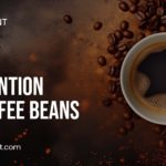 Mold Prevention in Coffee Beans
